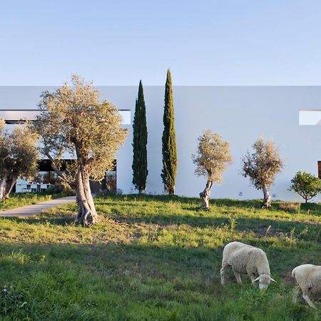 Villa Extramuros Arraiolos Luaran gambar
